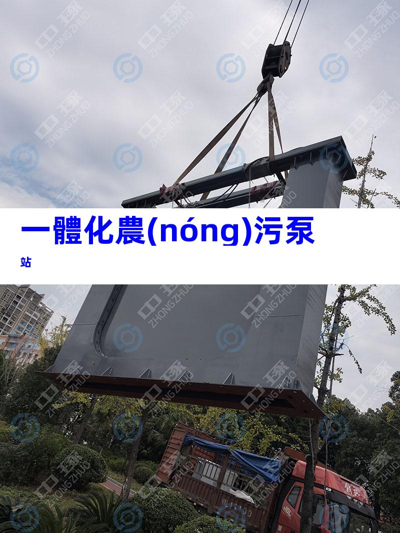 一體化農(nóng)污泵站