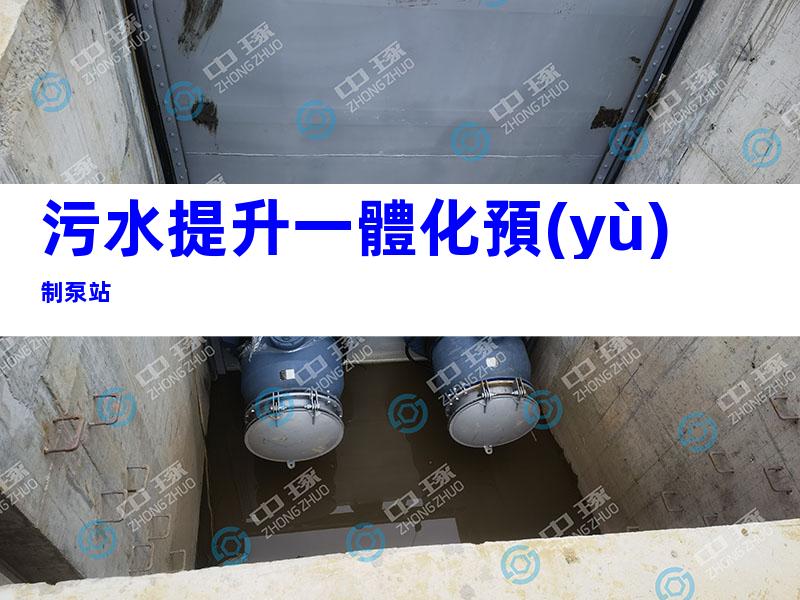 污水提升一體化預(yù)制泵站