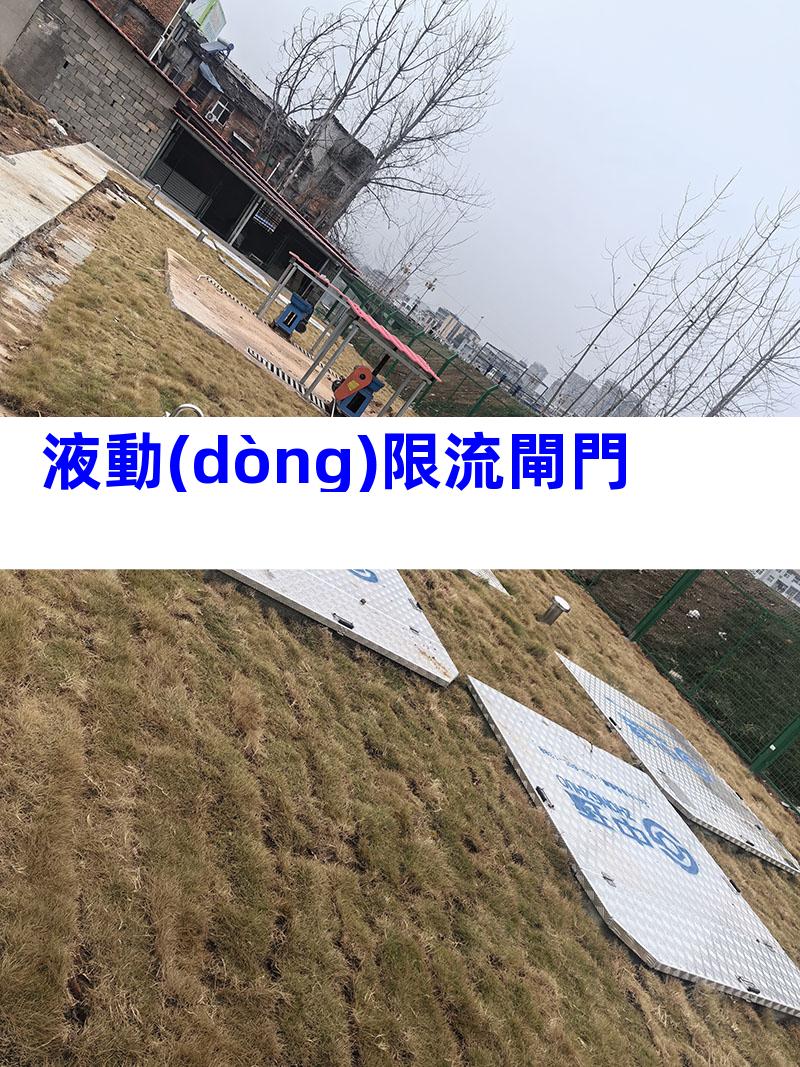 液動(dòng)限流閘門