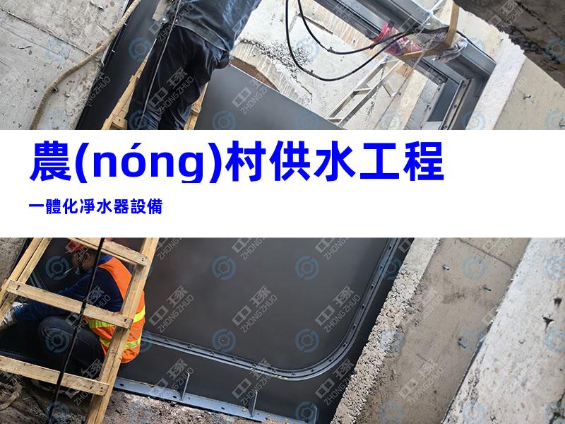 農(nóng)村供水工程一體化凈水器設備