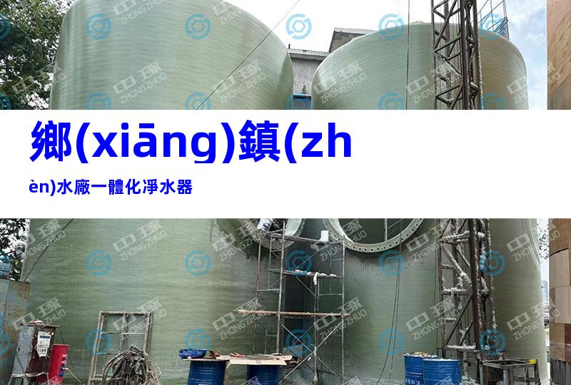 鄉(xiāng)鎮(zhèn)水廠一體化凈水器