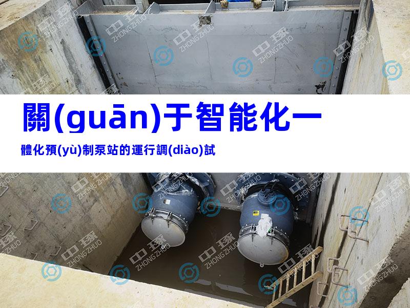 關(guān)于智能化一體化預(yù)制泵站的運行調(diào)試