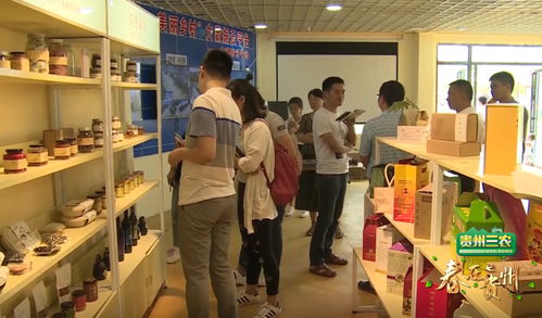 數說貴州 數字鄉村的貴州實踐，智慧生活織就智富夢