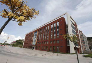 珠海金灣5所本科高校投檔線公布，職業教育培訓助力學子成才